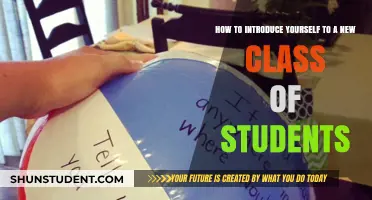 Icebreakers and Introductions: Making a Great First Impression in Class