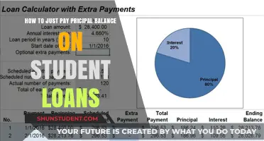 Paying Off Student Loans? Focus on Principal Balance