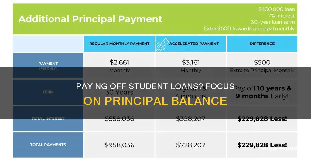 how to just pay pricipal balance on student loans