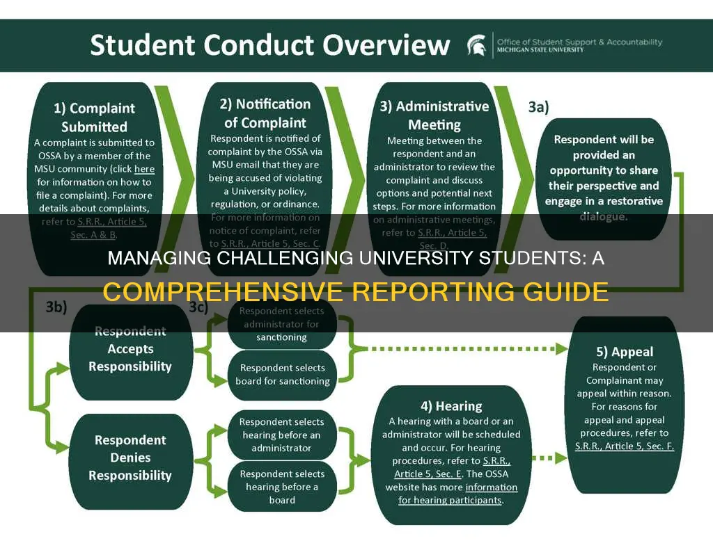 how to keep a report on a problematic university student