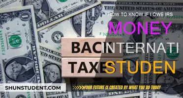International Students: Do You Owe the IRS?