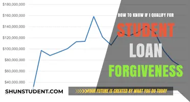 Do You Qualify for Student Loan Forgiveness? A Comprehensive Guide