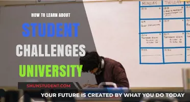 Understanding Student Challenges: University Insights