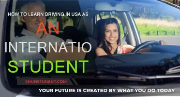 International Students: Learning to Drive in the USA