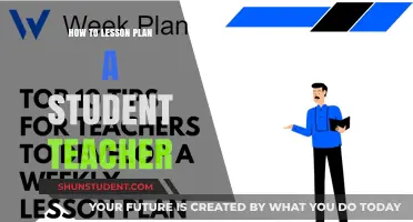 Effective Lesson Planning Strategies for Aspiring Student Teachers