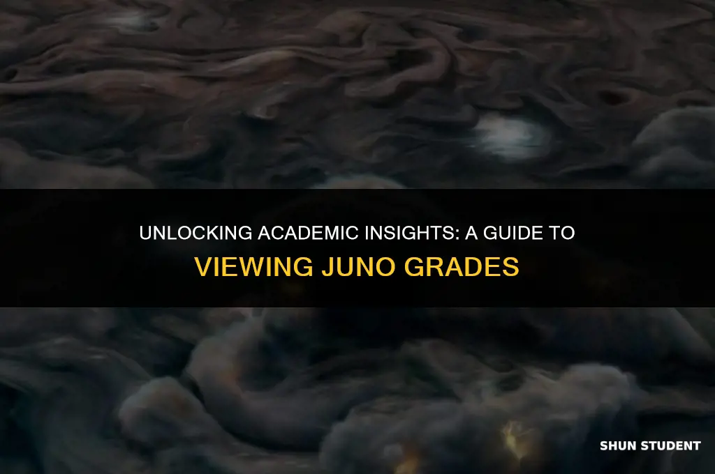 how to let students see their scores juno grades