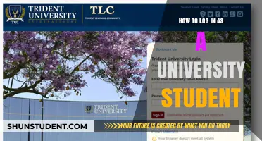 Logging In: University Student Access
