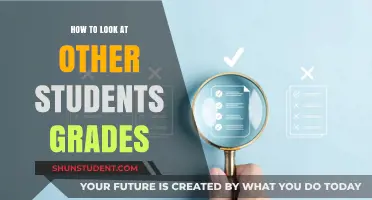 Exploring Academic Transparency: A Guide to Viewing Peer Grades