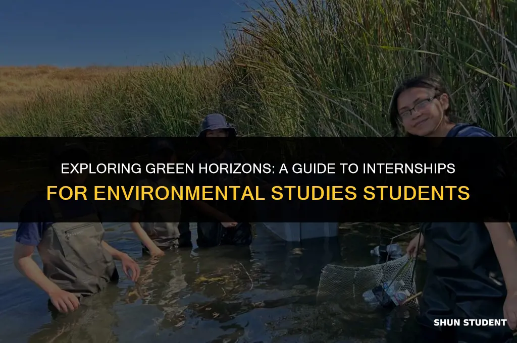 how to look for internships as an environmental studies student