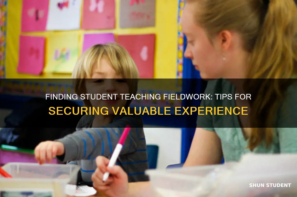 how to look for student teaching fieldwork