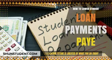 Lowering Student Loan Payments: Understanding PAYE Options
