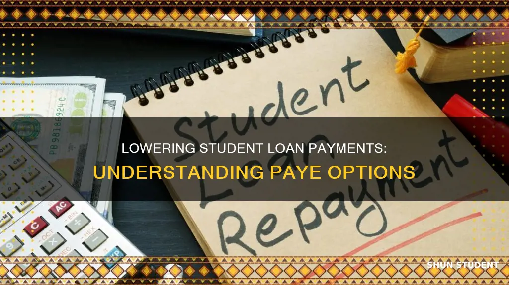 how to lower student loan payments paye