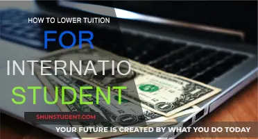 International Students: Reducing Tuition Fees and Costs