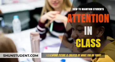 Captivating Minds: Strategies to Sustain Student Engagement in the Classroom