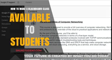 Unlocking Knowledge: Making Blackboard Classes Accessible to All Students