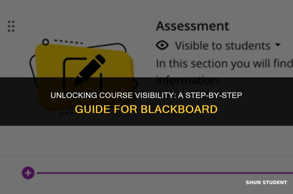 how to make a class visible to students on blackboard
