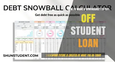 Strategies to Repay Student Loans Using Spreadsheets
