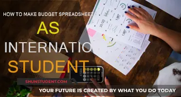 International Student's Guide to Budget Spreadsheets