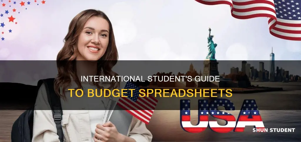 how to make budget spreadsheet as international student