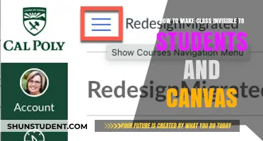 Mastering Stealth Mode: How to Hide Your Class from Students and Canvas