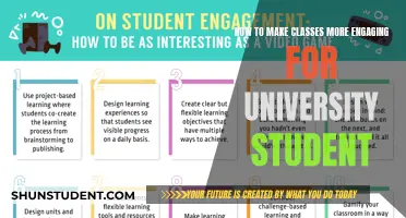 Strategies to Enhance University Lectures: Engaging Students Through Interactive Learning