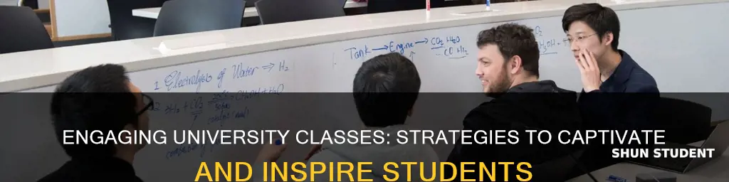 how to make classes more engaging for university student