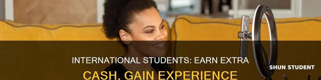 how to make extra money as an international student