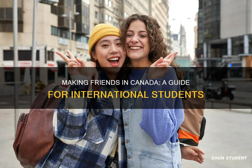 how to make friends in canada as an international student
