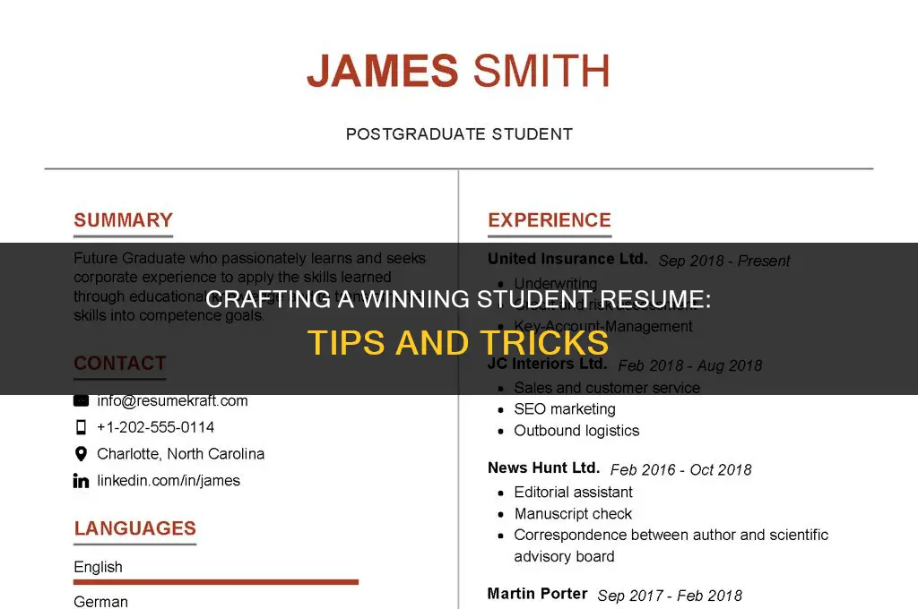 how to make job resume for student