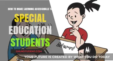Inclusive Learning: Strategies for Empowering Special Education Students