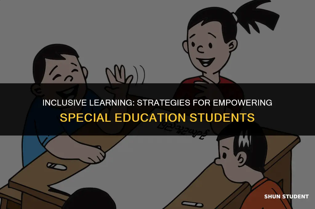 how to make laerning accessibille to special education students
