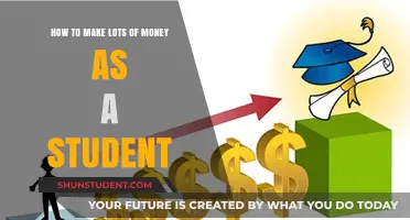 Lucrative Strategies for Students: Maximizing Income During Your Studies