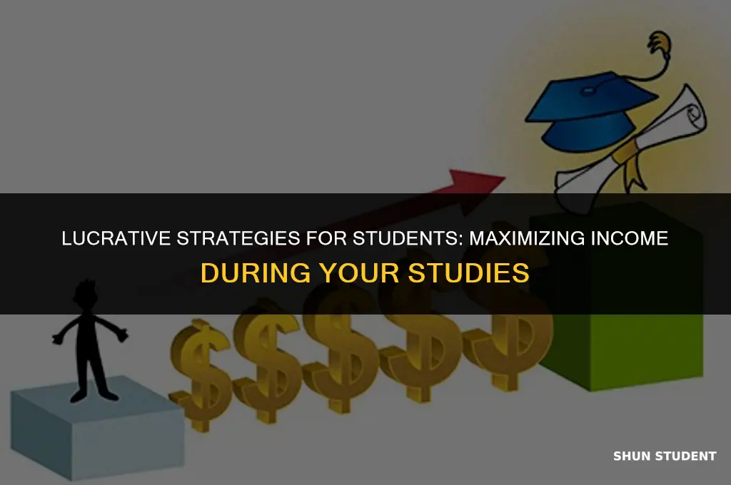 how to make lots of money as a student