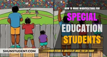 Tailoring Learning: Empowering Special Education Students Through Modifications