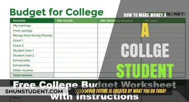 Lucrative Strategies for College Students to Boost Their Income