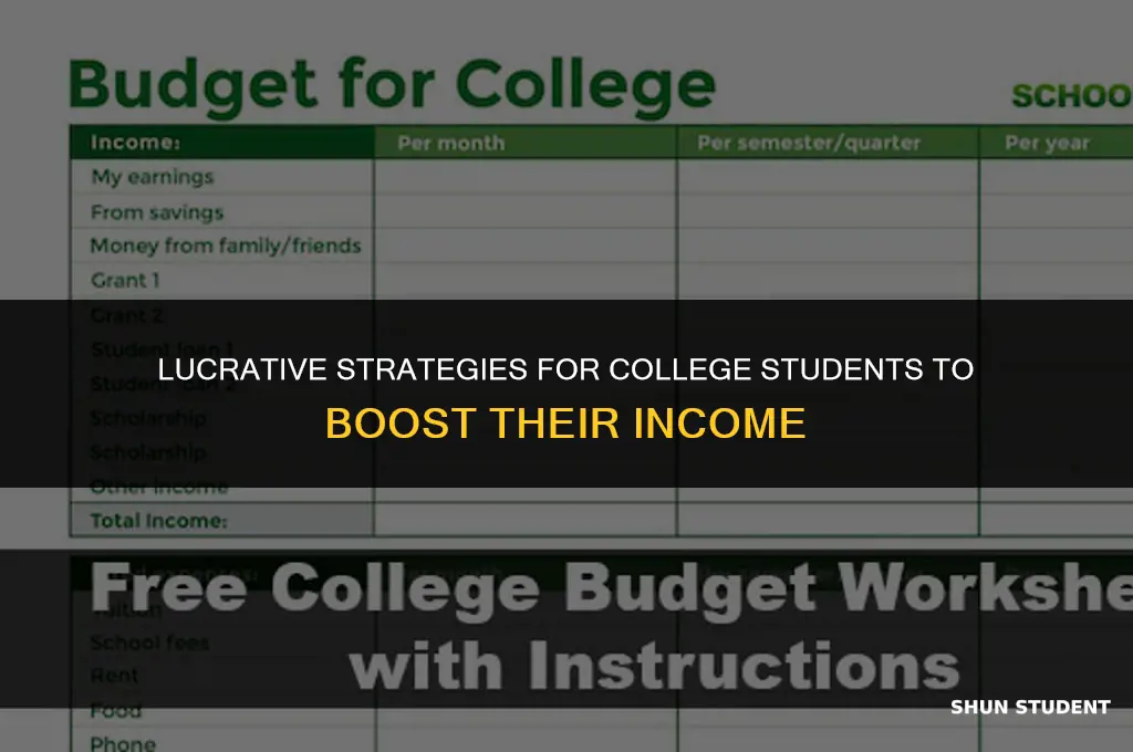 how to make money a a collge student