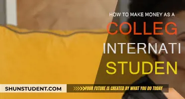 International Student? Here's How to Make Money in College