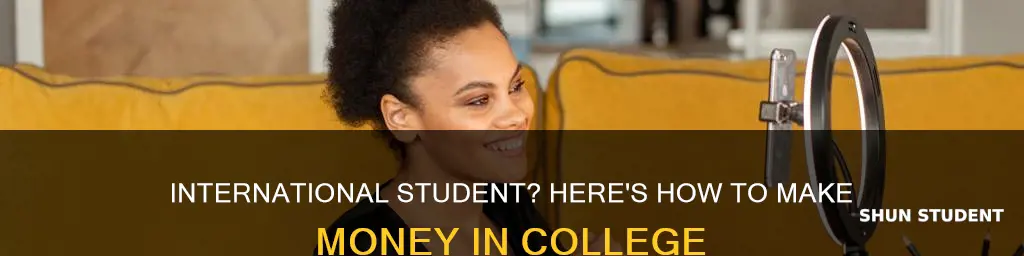 how to make money as a college international student