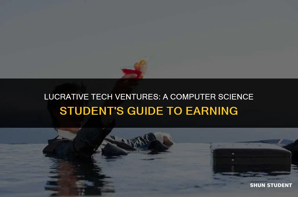 how to make money as a computer science student