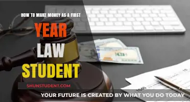 Lucrative Strategies for First-Year Law Students to Boost Income