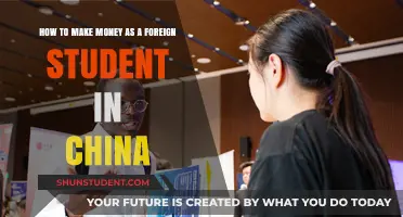 Lucrative Opportunities: A Foreign Student's Guide to Earning in China