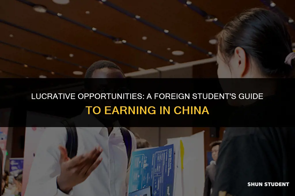 how to make money as a foreign student in china