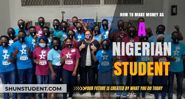 Unlocking Financial Freedom: A Nigerian Student's Guide to Earning Extra Cash