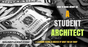 Designing Your Future: Financial Strategies for Student Architects