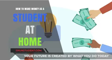 Lucrative Home-Based Ventures: A Student's Guide to Earning Extra Cash