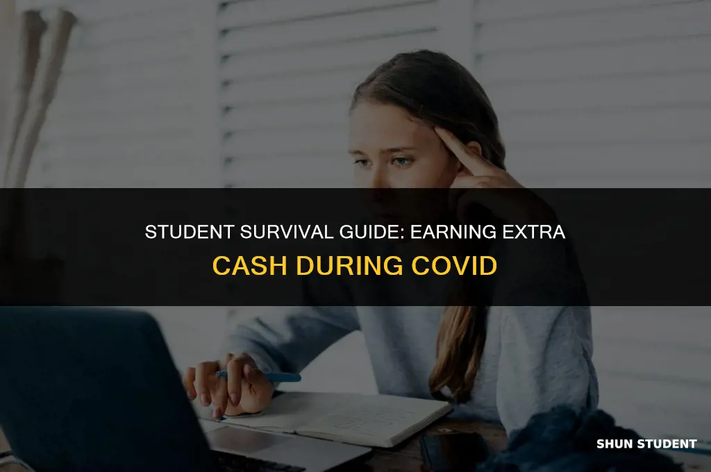 how to make money as a student during covid