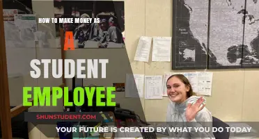 Lucrative Opportunities: A Student's Guide to Earning While Learning