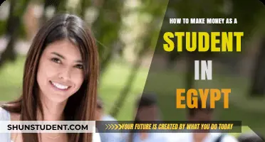 Unlocking Financial Freedom: A Student's Guide to Earning in Egypt