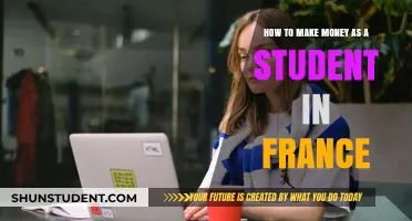 Unlocking Financial Freedom: A Student's Guide to Earning in France