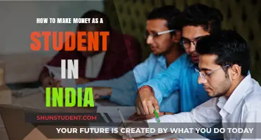 Lucrative Opportunities: How Indian Students Can Earn While Learning